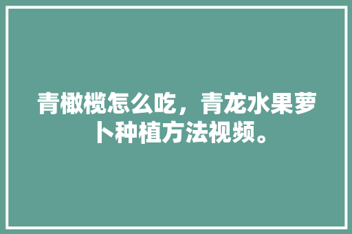 青橄榄怎么吃，青龙水果萝卜种植方法视频。 青橄榄怎么吃，青龙水果萝卜种植方法视频。 畜牧养殖