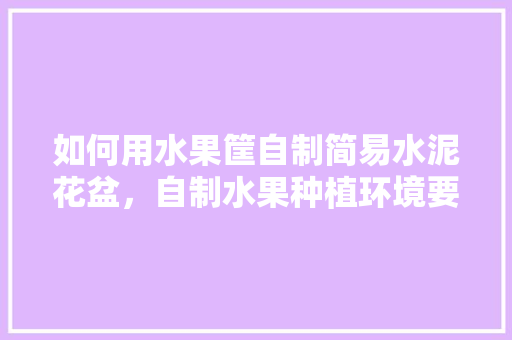 如何用水果筐自制简易水泥花盆，自制水果种植环境要求。 如何用水果筐自制简易水泥花盆，自制水果种植环境要求。 水果种植