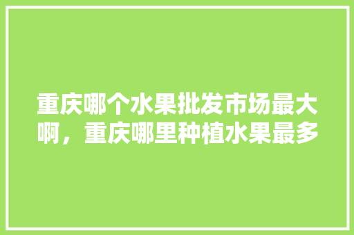 重庆哪个水果批发市场最大啊，重庆哪里种植水果最多的地方呢。 重庆哪个水果批发市场最大啊，重庆哪里种植水果最多的地方呢。 土壤施肥