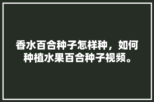 香水百合种子怎样种，如何种植水果百合种子视频。 香水百合种子怎样种，如何种植水果百合种子视频。 家禽养殖