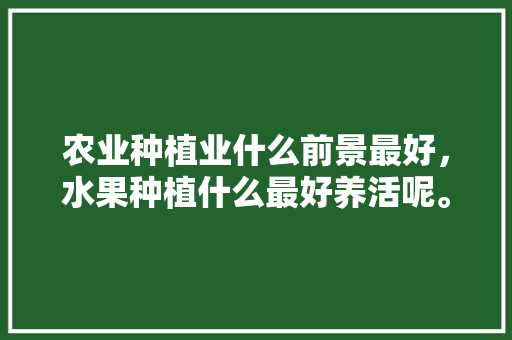 农业种植业什么前景最好，水果种植什么最好养活呢。 农业种植业什么前景最好，水果种植什么最好养活呢。 水果种植