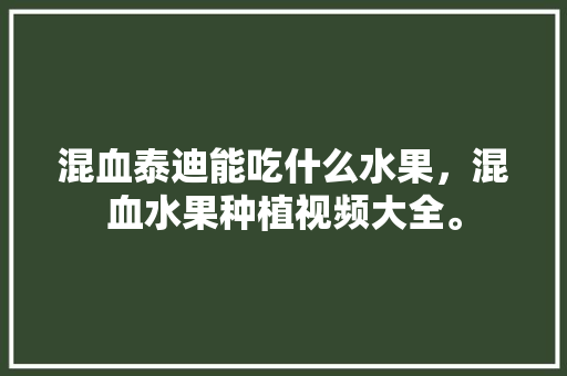 混血泰迪能吃什么水果，混血水果种植视频大全。 混血泰迪能吃什么水果，混血水果种植视频大全。 土壤施肥