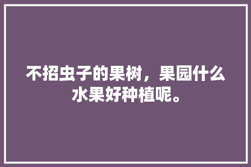 不招虫子的果树，果园什么水果好种植呢。 不招虫子的果树，果园什么水果好种植呢。 蔬菜种植