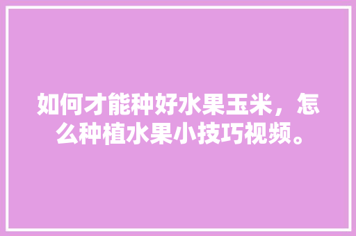 如何才能种好水果玉米，怎么种植水果小技巧视频。 如何才能种好水果玉米，怎么种植水果小技巧视频。 蔬菜种植