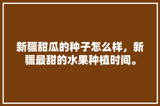 新疆甜瓜的种子怎么样，新疆最甜的水果种植时间。 新疆甜瓜的种子怎么样，新疆最甜的水果种植时间。 水果种植