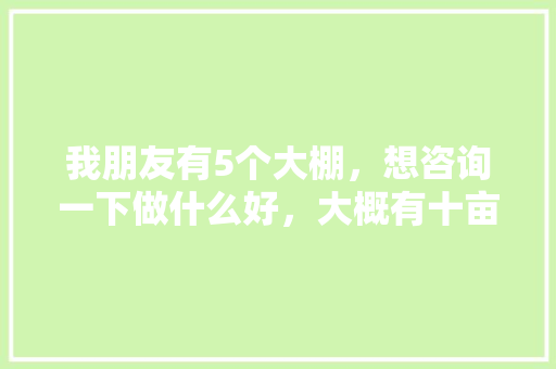 我朋友有5个大棚，想咨询一下做什么好，大概有十亩地的样子，如何做现代化的大棚，适合大棚种植的水果。 我朋友有5个大棚，想咨询一下做什么好，大概有十亩地的样子，如何做现代化的大棚，适合大棚种植的水果。 家禽养殖