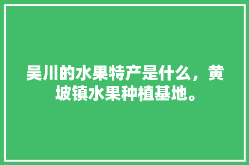 吴川的水果特产是什么，黄坡镇水果种植基地。 吴川的水果特产是什么，黄坡镇水果种植基地。 水果种植