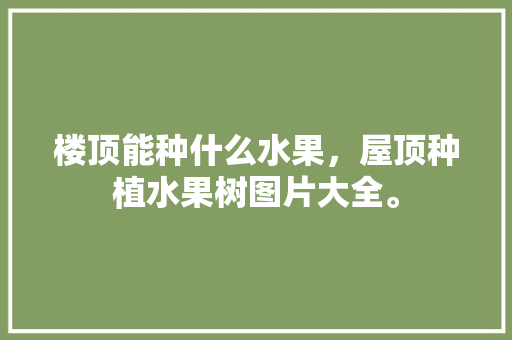 楼顶能种什么水果，屋顶种植水果树图片大全。 楼顶能种什么水果，屋顶种植水果树图片大全。 畜牧养殖