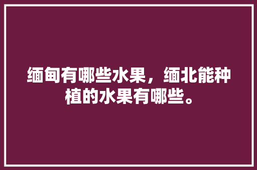 缅甸有哪些水果，缅北能种植的水果有哪些。 缅甸有哪些水果，缅北能种植的水果有哪些。 蔬菜种植