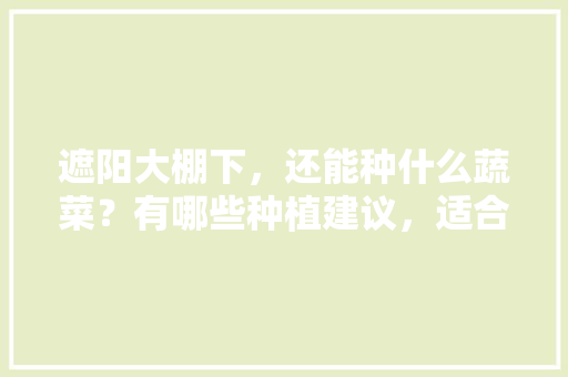 遮阳大棚下，还能种什么蔬菜？有哪些种植建议，适合棚内种植的水果有哪些。 遮阳大棚下，还能种什么蔬菜？有哪些种植建议，适合棚内种植的水果有哪些。 土壤施肥