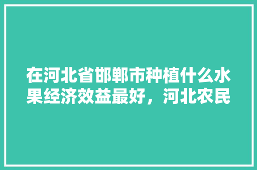 在河北省邯郸市种植什么水果经济效益最好，河北农民种植水果有补贴吗。 在河北省邯郸市种植什么水果经济效益最好，河北农民种植水果有补贴吗。 蔬菜种植