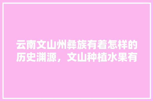 云南文山州彝族有着怎样的历史渊源，文山种植水果有哪些品种。 云南文山州彝族有着怎样的历史渊源，文山种植水果有哪些品种。 水果种植