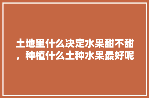 土地里什么决定水果甜不甜，种植什么土种水果最好呢。 土地里什么决定水果甜不甜，种植什么土种水果最好呢。 水果种植