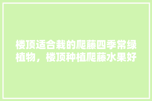 楼顶适合栽的爬藤四季常绿植物，楼顶种植爬藤水果好吗。 楼顶适合栽的爬藤四季常绿植物，楼顶种植爬藤水果好吗。 水果种植