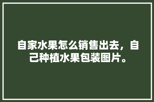 自家水果怎么销售出去，自己种植水果包装图片。 自家水果怎么销售出去，自己种植水果包装图片。 蔬菜种植