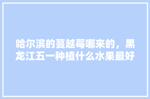 哈尔滨的蔓越莓哪来的，黑龙江五一种植什么水果最好。 哈尔滨的蔓越莓哪来的，黑龙江五一种植什么水果最好。 蔬菜种植