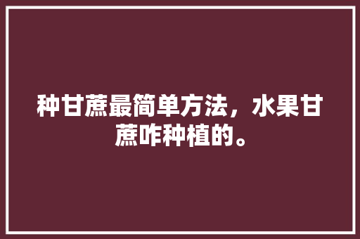 种甘蔗最简单方法，水果甘蔗咋种植的。 种甘蔗最简单方法，水果甘蔗咋种植的。 蔬菜种植