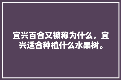 宜兴百合又被称为什么，宜兴适合种植什么水果树。 宜兴百合又被称为什么，宜兴适合种植什么水果树。 水果种植