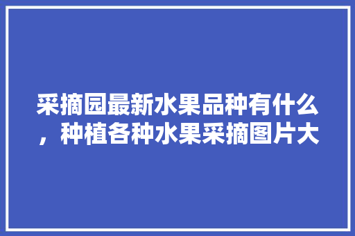 采摘园最新水果品种有什么，种植各种水果采摘图片大全。 采摘园最新水果品种有什么，种植各种水果采摘图片大全。 水果种植