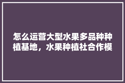 怎么运营大型水果多品种种植基地，水果种植社合作模式有哪些。 怎么运营大型水果多品种种植基地，水果种植社合作模式有哪些。 水果种植