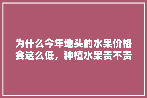 为什么今年地头的水果价格会这么低，种植水果贵不贵呢图片。 为什么今年地头的水果价格会这么低，种植水果贵不贵呢图片。 水果种植