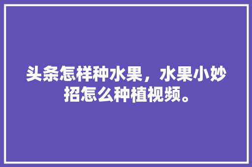 头条怎样种水果，水果小妙招怎么种植视频。 头条怎样种水果，水果小妙招怎么种植视频。 畜牧养殖