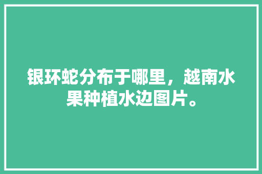 银环蛇分布于哪里，越南水果种植水边图片。 银环蛇分布于哪里，越南水果种植水边图片。 家禽养殖