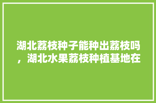 湖北荔枝种子能种出荔枝吗，湖北水果荔枝种植基地在哪里。 湖北荔枝种子能种出荔枝吗，湖北水果荔枝种植基地在哪里。 畜牧养殖