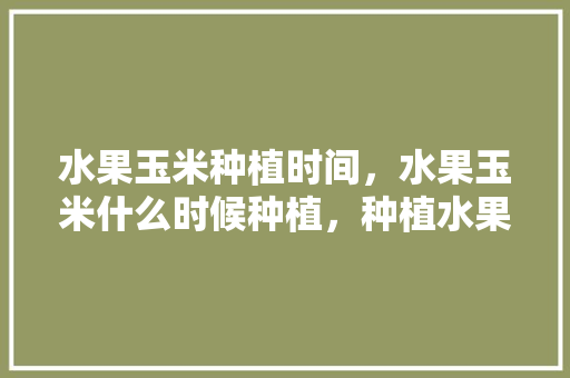 水果玉米种植时间，水果玉米什么时候种植，种植水果玉米教材解析图。 水果玉米种植时间，水果玉米什么时候种植，种植水果玉米教材解析图。 蔬菜种植