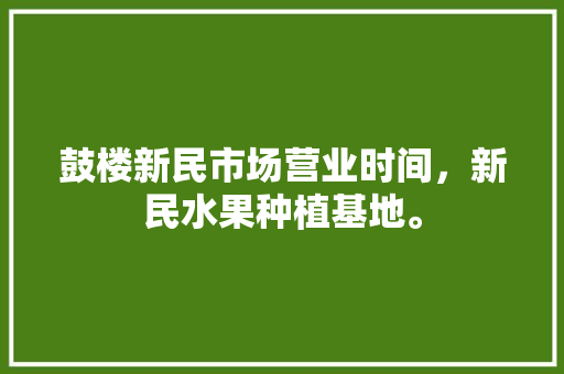 鼓楼新民市场营业时间，新民水果种植基地。 鼓楼新民市场营业时间，新民水果种植基地。 蔬菜种植