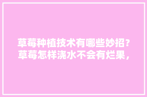 草莓种植技术有哪些妙招？草莓怎样浇水不会有烂果，水果白草莓种植方法。 草莓种植技术有哪些妙招？草莓怎样浇水不会有烂果，水果白草莓种植方法。 家禽养殖