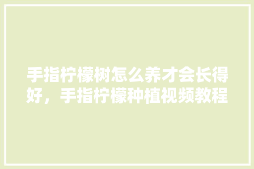 手指柠檬树怎么养才会长得好，手指柠檬种植视频教程。 手指柠檬树怎么养才会长得好，手指柠檬种植视频教程。 土壤施肥