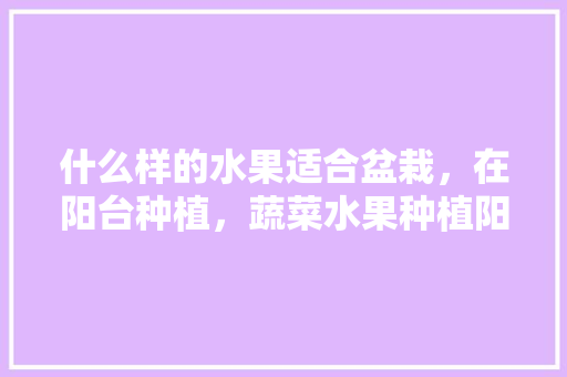 什么样的水果适合盆栽，在阳台种植，蔬菜水果种植阳台图片。 什么样的水果适合盆栽，在阳台种植，蔬菜水果种植阳台图片。 蔬菜种植