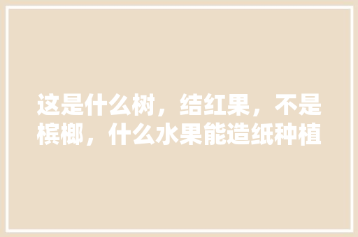 这是什么树，结红果，不是槟榔，什么水果能造纸种植呢。 这是什么树，结红果，不是槟榔，什么水果能造纸种植呢。 蔬菜种植