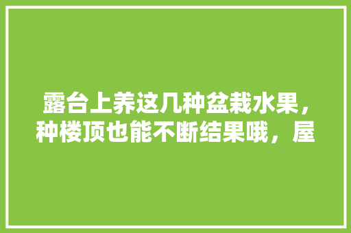 露台上养这几种盆栽水果，种楼顶也能不断结果哦，屋顶水果种植技术要点。 露台上养这几种盆栽水果，种楼顶也能不断结果哦，屋顶水果种植技术要点。 水果种植