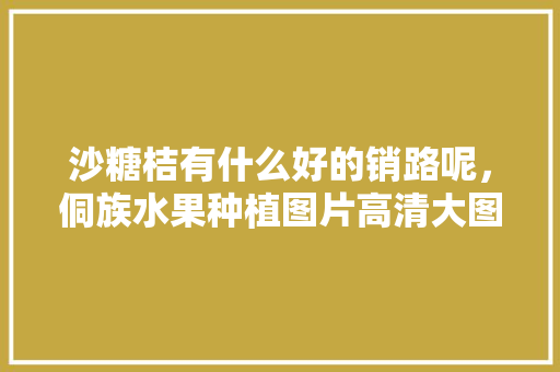 沙糖桔有什么好的销路呢，侗族水果种植图片高清大图。 沙糖桔有什么好的销路呢，侗族水果种植图片高清大图。 家禽养殖