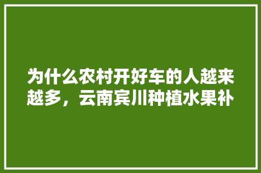 为什么农村开好车的人越来越多，云南宾川种植水果补贴多少钱。 为什么农村开好车的人越来越多，云南宾川种植水果补贴多少钱。 蔬菜种植