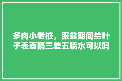 多肉小老桩，服盆期间给叶子表面隔三差五喷水可以吗，玉露香水果种植视频教程。 多肉小老桩，服盆期间给叶子表面隔三差五喷水可以吗，玉露香水果种植视频教程。 家禽养殖