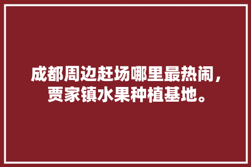 成都周边赶场哪里最热闹，贾家镇水果种植基地。 成都周边赶场哪里最热闹，贾家镇水果种植基地。 水果种植