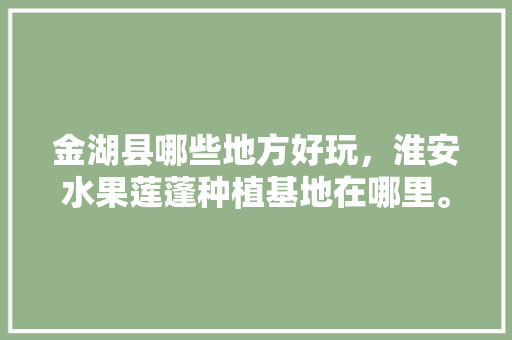 金湖县哪些地方好玩，淮安水果莲蓬种植基地在哪里。 金湖县哪些地方好玩，淮安水果莲蓬种植基地在哪里。 水果种植