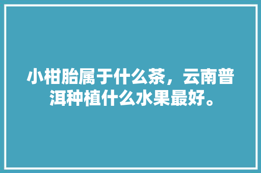 小柑胎属于什么茶，云南普洱种植什么水果最好。 小柑胎属于什么茶，云南普洱种植什么水果最好。 水果种植