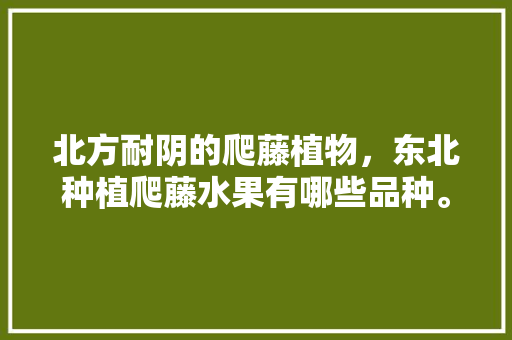 北方耐阴的爬藤植物，东北种植爬藤水果有哪些品种。 北方耐阴的爬藤植物，东北种植爬藤水果有哪些品种。 水果种植