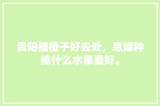 贵阳摘橙子好去处，息烽种植什么水果最好。 贵阳摘橙子好去处，息烽种植什么水果最好。 蔬菜种植