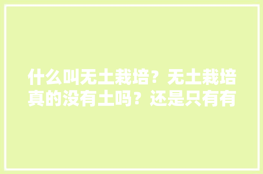 什么叫无土栽培？无土栽培真的没有土吗？还是只有有机肥料，无土蔬菜水果种植方法。 什么叫无土栽培？无土栽培真的没有土吗？还是只有有机肥料，无土蔬菜水果种植方法。 畜牧养殖