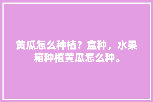 黄瓜怎么种植？盒种，水果箱种植黄瓜怎么种。 黄瓜怎么种植？盒种，水果箱种植黄瓜怎么种。 水果种植