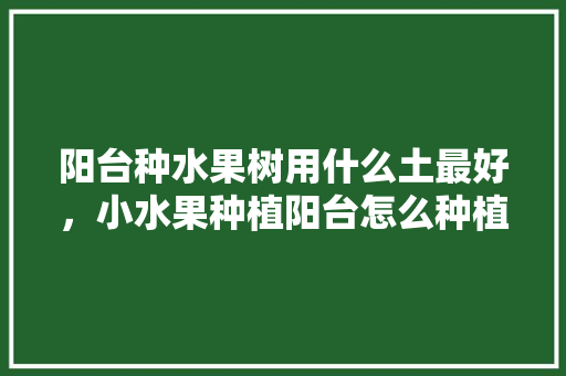 阳台种水果树用什么土最好，小水果种植阳台怎么种植的。 阳台种水果树用什么土最好，小水果种植阳台怎么种植的。 水果种植