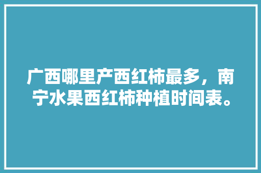 广西哪里产西红柿最多，南宁水果西红柿种植时间表。 广西哪里产西红柿最多，南宁水果西红柿种植时间表。 土壤施肥