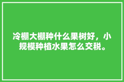 冷棚大棚种什么果树好，小规模种植水果怎么交税。 冷棚大棚种什么果树好，小规模种植水果怎么交税。 水果种植