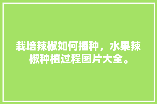 栽培辣椒如何播种，水果辣椒种植过程图片大全。 栽培辣椒如何播种，水果辣椒种植过程图片大全。 蔬菜种植