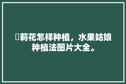 苿莉花怎样种植，水果姑娘种植法图片大全。 苿莉花怎样种植，水果姑娘种植法图片大全。 蔬菜种植